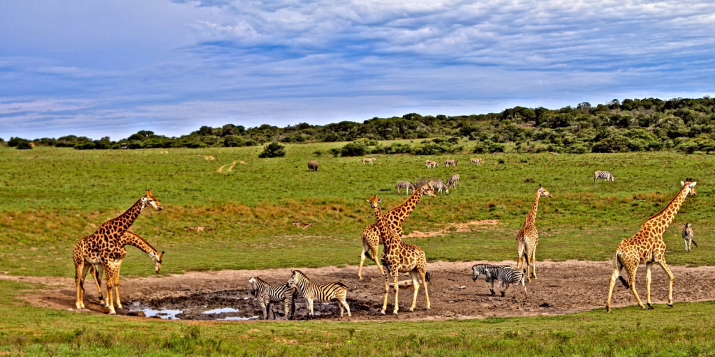 2day-flying-safari-package